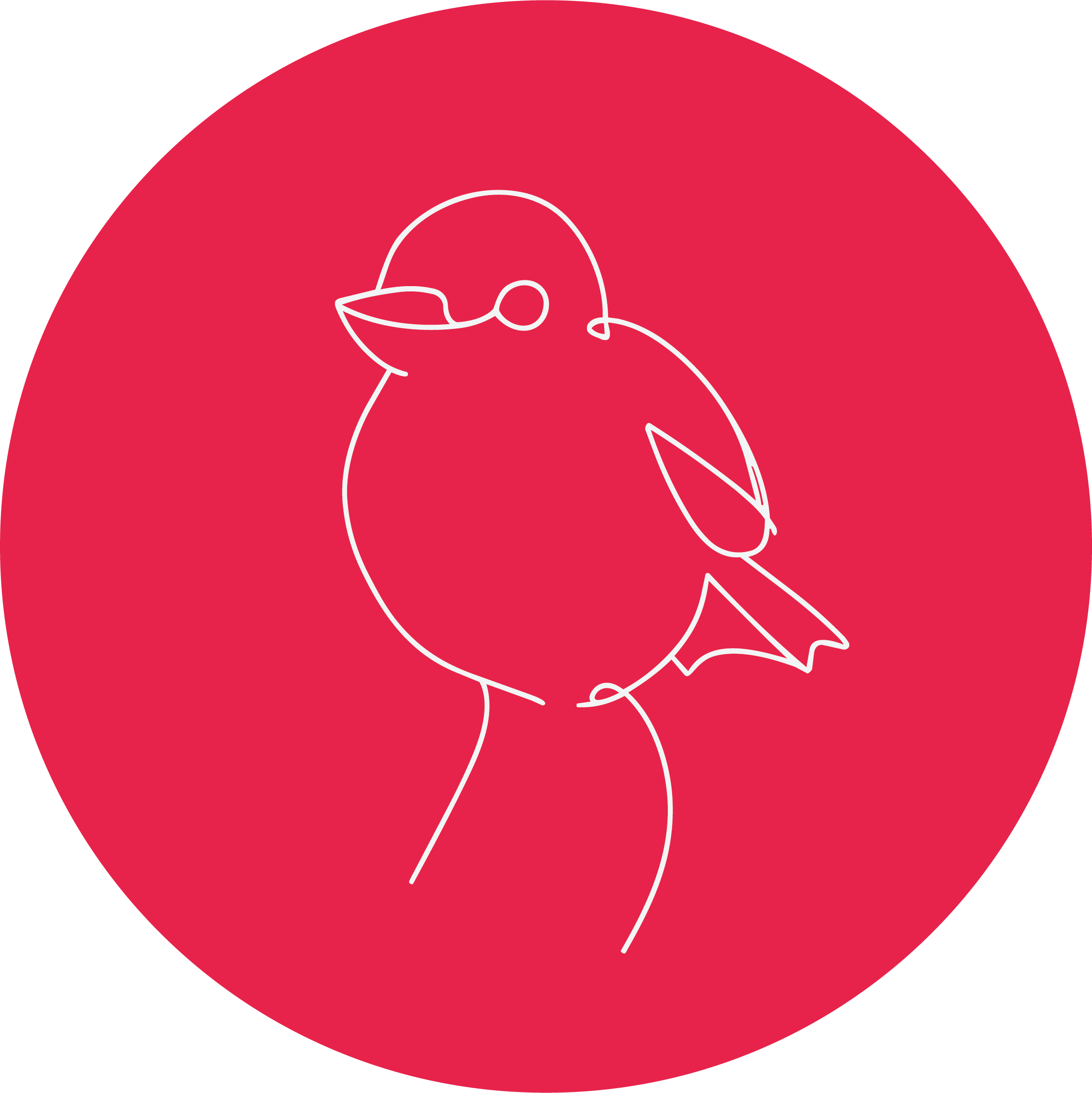 spatzl-icon-weiss-auf-rot